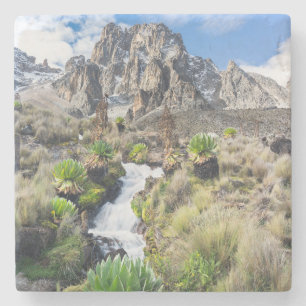 Posavasos De Piedra Parque Nacional Central del Monte Kenya