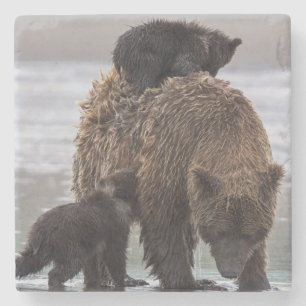 Posavasos De Piedra Parque nacional de Clark del lago bear de Brown el