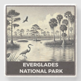 Posavasos De Piedra Parque nacional Everglades