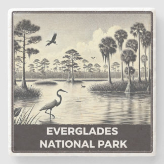 Posavasos De Piedra Parque nacional Everglades