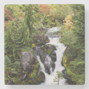 Posavasos De Piedra Parque Nacional Mount Rainier, arroyo otoñal