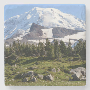 Posavasos De Piedra Parque Nacional Mount Rainier, WA. Spray Park