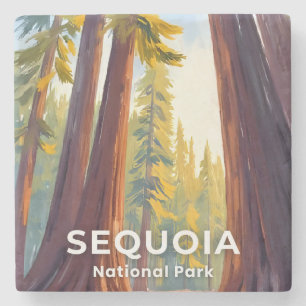 Posavasos De Piedra Parque Nacional Sequoia Viajes a California