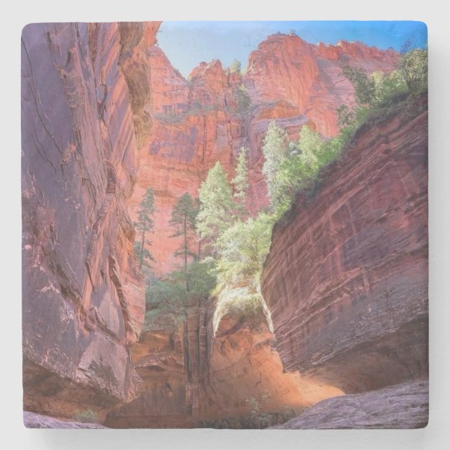 Posavasos De Piedra Parque Nacional Zion, Utah, Estados Unidos (Anverso)