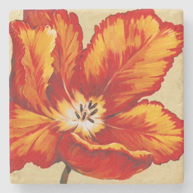 Posavasos De Piedra Parrot Tulip I (Anverso)