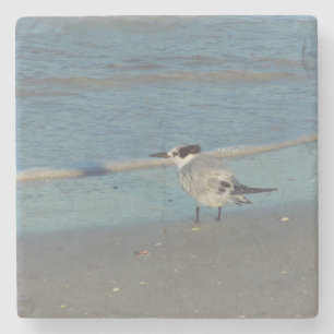 Posavasos De Piedra Pascua de Aves de Playa