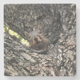 Posavasos De Piedra Pascua de bebida de ardilla