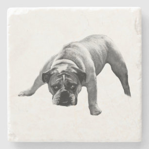Posavasos De Piedra Pascua de Bulldog vigilante