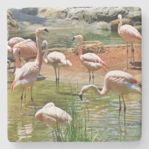 Posavasos De Piedra Pascua de Flamingos Rosados