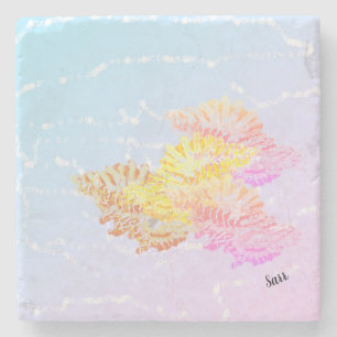 Posavasos De Piedra Pascua de piedra: concha marina en la costa