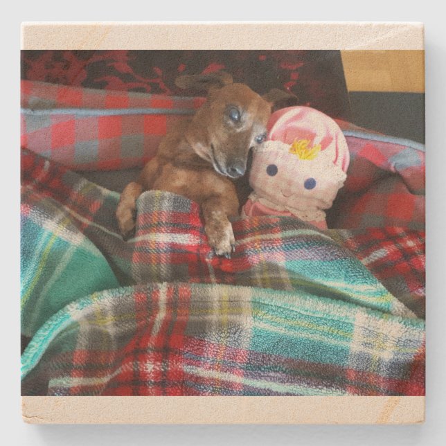 Posavasos De Piedra Pascua de piedra de Dachshund (Anverso)