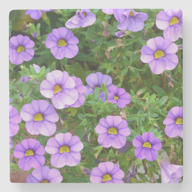 Posavasos De Piedra Pascua de piedra de flores moradas (Anverso)