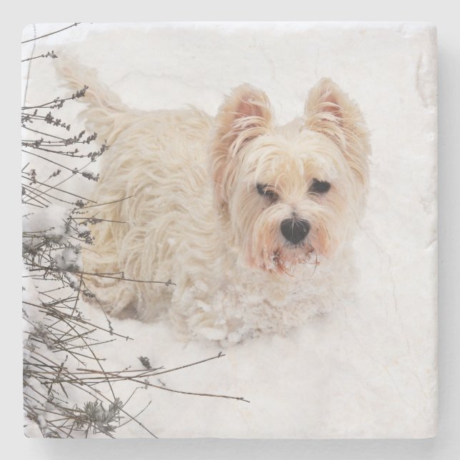 Posavasos De Piedra Pascua de piedra de foto de perro blanco con nieve (Anverso)