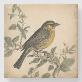 Posavasos De Piedra Pascua de piedra de impresión de pájaro vintage