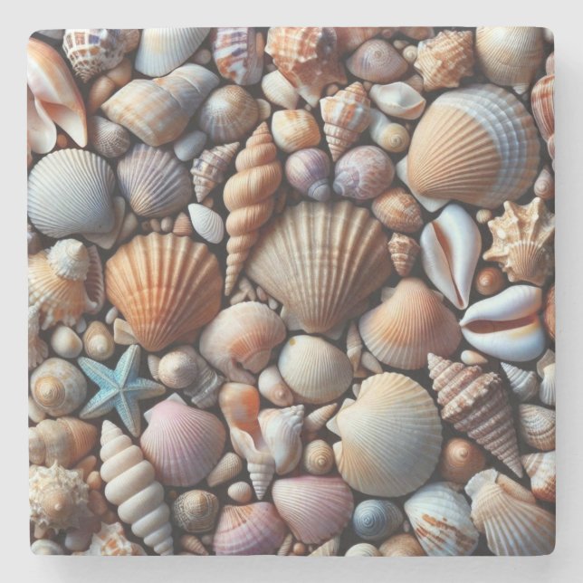 Posavasos De Piedra Pascua de piedra de las conchas marinas (Anverso)