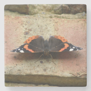 Posavasos De Piedra Pascua de piedra de mariposa roja almirante
