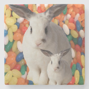 Posavasos De Piedra Pascua de piedra de mármol