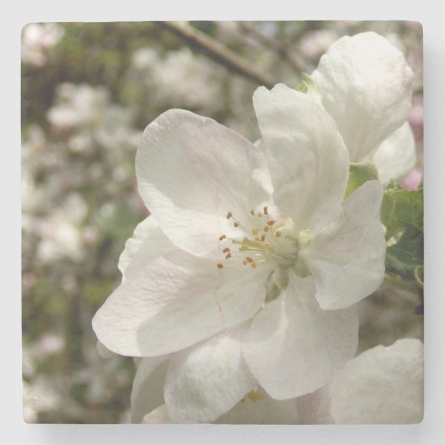 Posavasos De Piedra Pascua de piedra de mármol de Apple (Anverso)