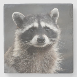 Posavasos De Piedra Pascua de piedra de retrato de Raccoon