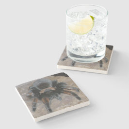 Posavasos De Piedra Pascua de piedra de Tarantula