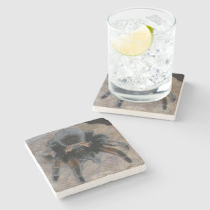 Posavasos De Piedra Pascua de piedra de Tarantula