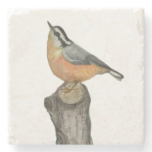 Pascua De Piedra Nuthatch De Pecho Rojo