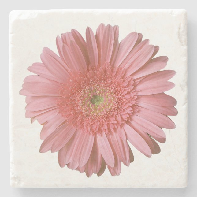 Posavasos De Piedra Pascua de piedra rosa Gerber Daisy (Anverso)