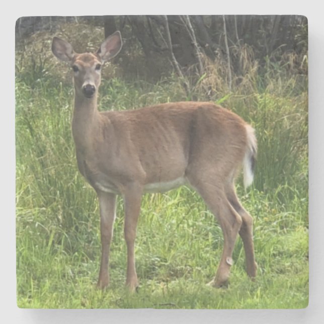 Posavasos De Piedra Pascua de venado de piedra de mármol (Anverso)