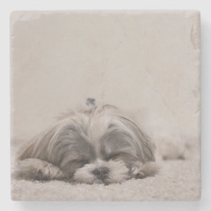 Posavasos De Piedra Pascua Shih Tzu durmiendo, perro durmiendo