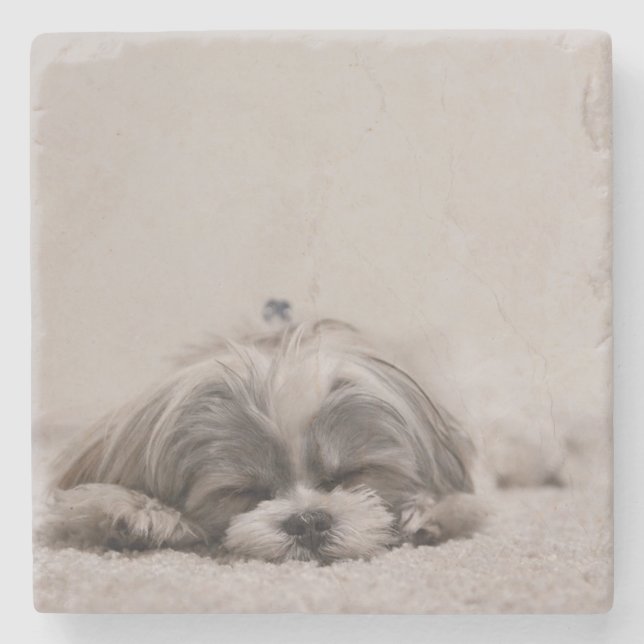 Posavasos De Piedra Pascua Shih Tzu durmiendo, perro durmiendo (Anverso)