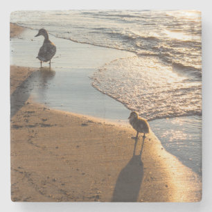 Posavasos De Piedra Paseo del atardecer con mamá