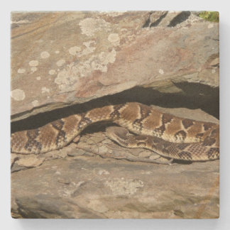 Posavasos De Piedra Pastelería en el Parque Nacional de Shenandoah