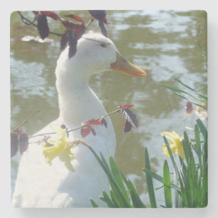 Posavasos De Piedra Pato Blanco En Pascua De Papeles Amarillos