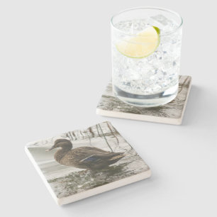 Posavasos De Piedra Pato gris en el lago oscuro