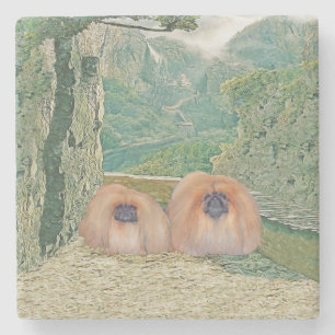 Posavasos De Piedra Patrimonio