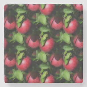 Posavasos De Piedra Patrón de arte de la naturaleza de las manzanas R