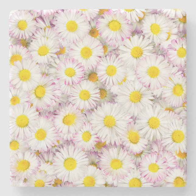 Posavasos De Piedra Patrón de flor de margarita rosada (Anverso)