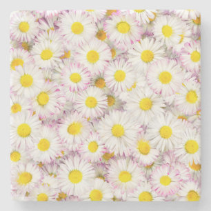 Posavasos De Piedra Patrón de flor rosado morado