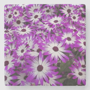 Posavasos De Piedra Patrón de flores, Jardines Kuekenhof, Lisse,