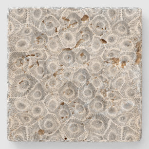 Posavasos De Piedra Patrón de piedra de Petoskey