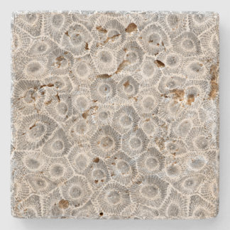 Posavasos De Piedra Patrón de piedra de Petoskey