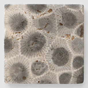 Posavasos De Piedra Patrón de piedra de Petoskey