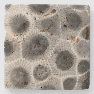 Posavasos De Piedra Patrón de piedra de Petoskey