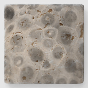 Posavasos De Piedra Patrón de piedra de Petoskey