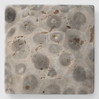 Posavasos De Piedra Patrón de piedra de Petoskey