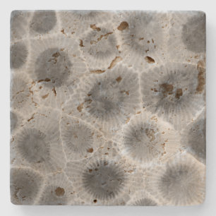 Posavasos De Piedra Patrón de piedra de Petoskey
