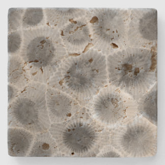 Posavasos De Piedra Patrón de piedra de Petoskey