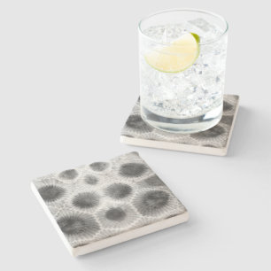 Posavasos De Piedra Patrón de piedra de Petoskey