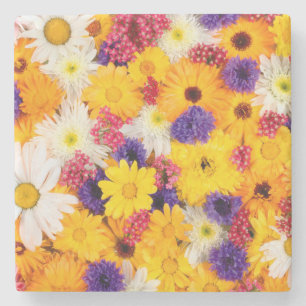 Posavasos De Piedra Patrón de primavera de flores de colores vivos