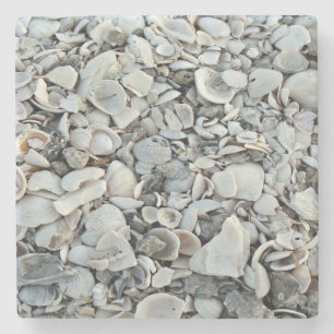 Posavasos De Piedra Patrón natural costero de conchas